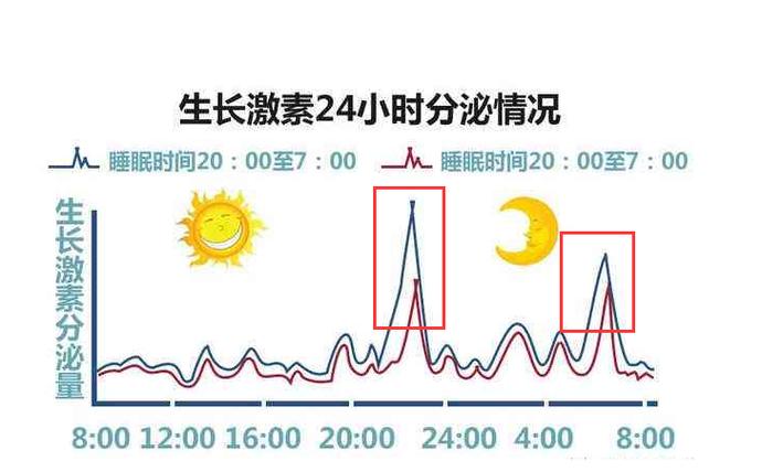 儿童生长激素分泌高峰期在夜间，如何科学安排作息才能最大化促进身高增长？-第1张图片-郑州医学网