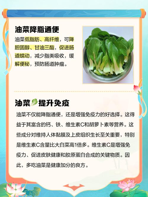 孕期吃油菜有什么好处-第1张图片-郑州医学网 孕期吃油菜有什么好处-第1张图片-郑州医学网