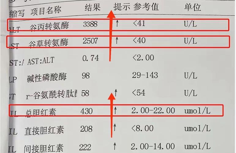 儿童脂肪肝转氨酶升高，是肝脏损伤的信号吗？如何科学干预？-第2张图片-郑州医学网