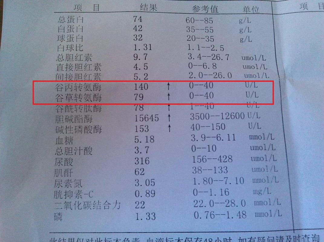 儿童脂肪肝转氨酶升高，是肝脏损伤的信号吗？如何科学干预？-第3张图片-郑州医学网