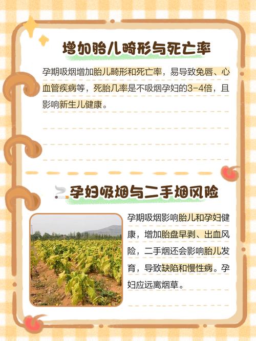 孕期抽烟真的会导致宝宝畸形吗？科学依据与风险解析在此-第1张图片-郑州医学网