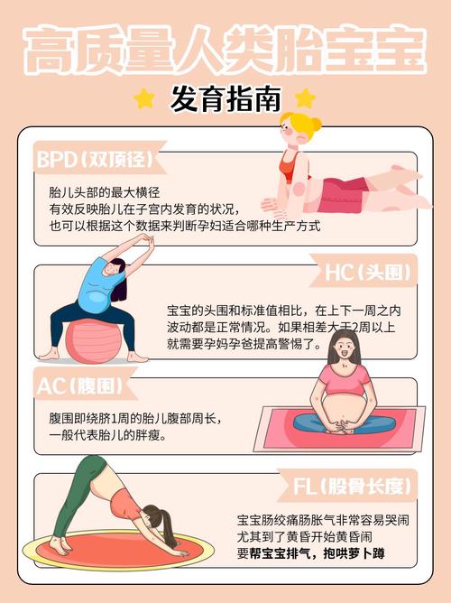 孕期NT检查标准值范围是多少？不同孕周NT值异常临界点有何差异？-第2张图片-郑州医学网