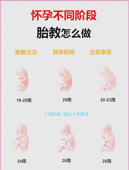 孕期怎么做才能让宝宝更聪明？有哪些科学方法有效促进胎儿大脑发育？-第1张图片-郑州医学网