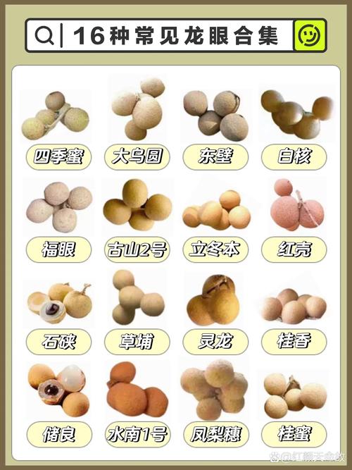 儿童适量吃龙眼能补气血？但这些潜在风险家长必须知道！-第2张图片-郑州医学网