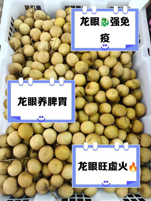 儿童适量吃龙眼能补气血？但这些潜在风险家长必须知道！-第1张图片-郑州医学网