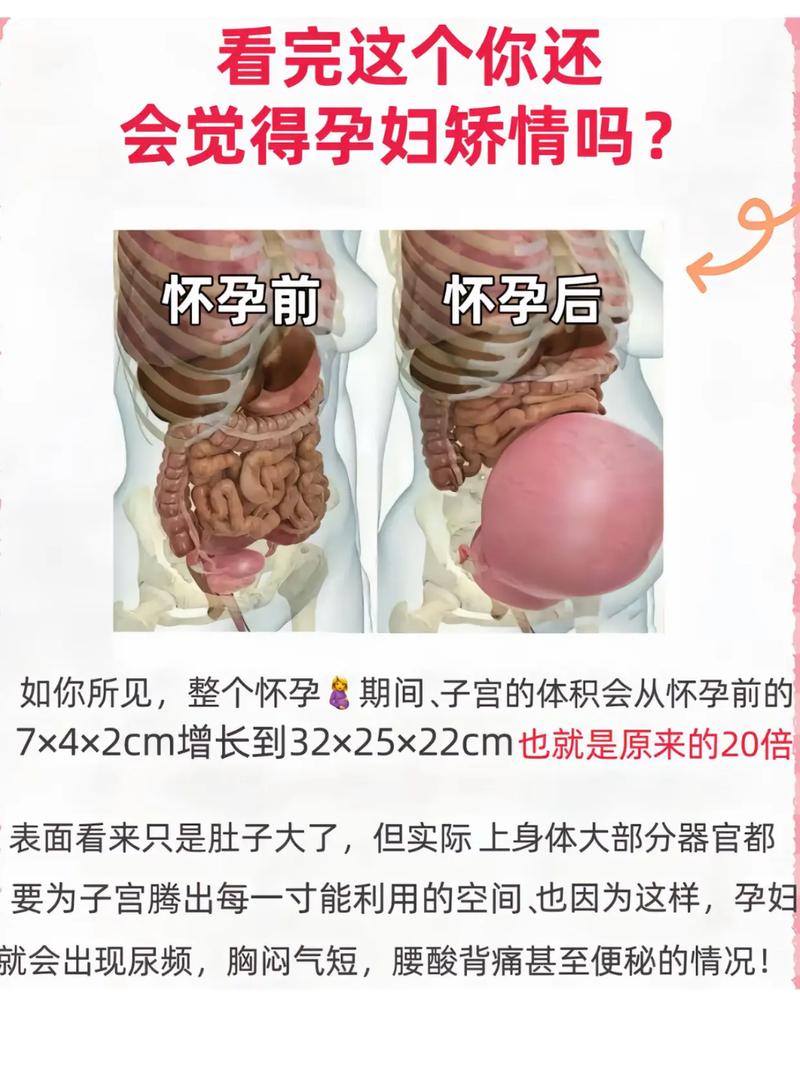 孕期为何体重飙升迅猛？激素变化与饮食调整如何共同作用？-第2张图片-郑州医学网