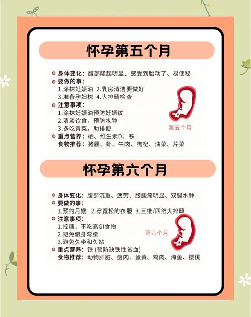早孕期注意事项有哪些？新手妈妈必知的健康指南与禁忌清单-第2张图片-郑州医学网