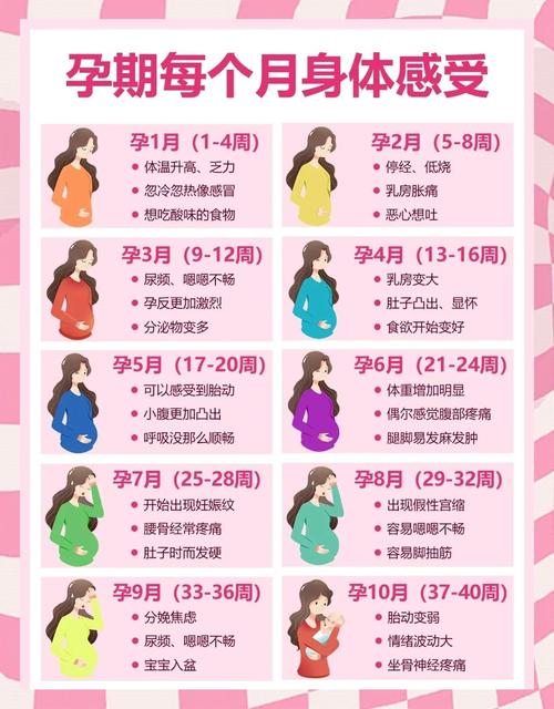 易孕期怀孕初期会有哪些典型症状与身体变化？-第2张图片-郑州医学网