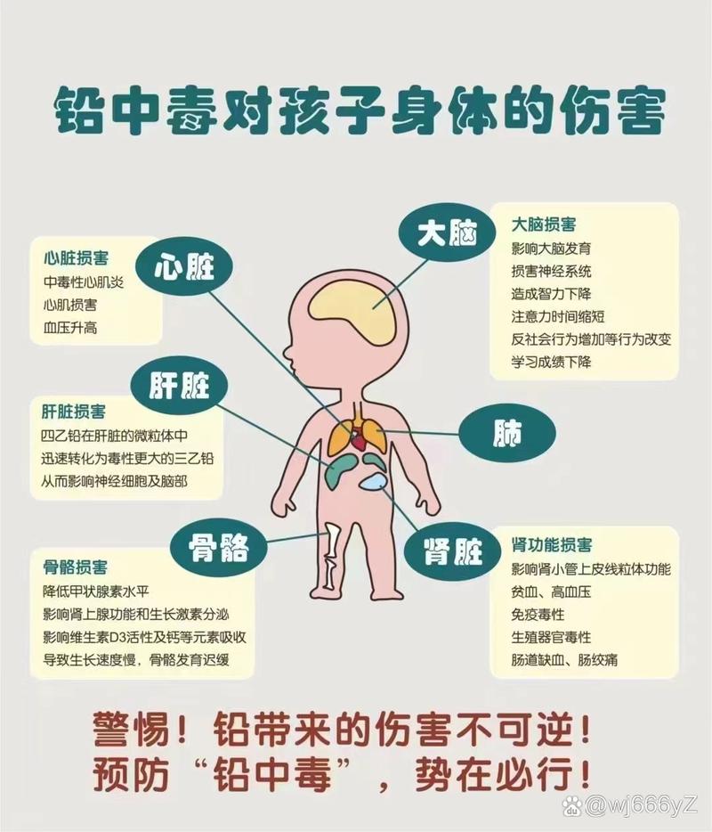 儿童铅过高会有哪些明显症状？家长如何早期识别与干预？-第2张图片-郑州医学网
