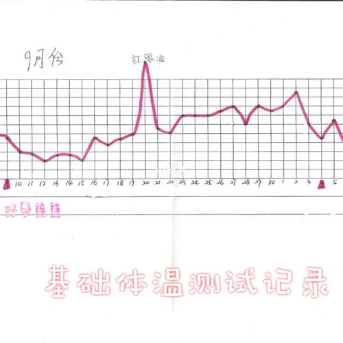 整个孕期基础体温变化有何规律？这些变化对孕妇健康意味着什么？-第1张图片-郑州医学网