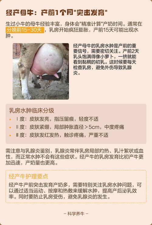 孕期一直流奶水是正常现象吗?会对胎儿或产后哺乳有影响吗?-第2张图片-郑州医学网 孕期一直流奶水是正常现象吗?会对胎儿或产后哺乳有影响吗?-第2张图片-郑州医学网