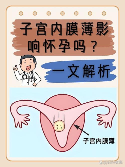 孕期发现子宫壁偏薄，日常保胎和饮食上该怎么做？-第3张图片-郑州医学网