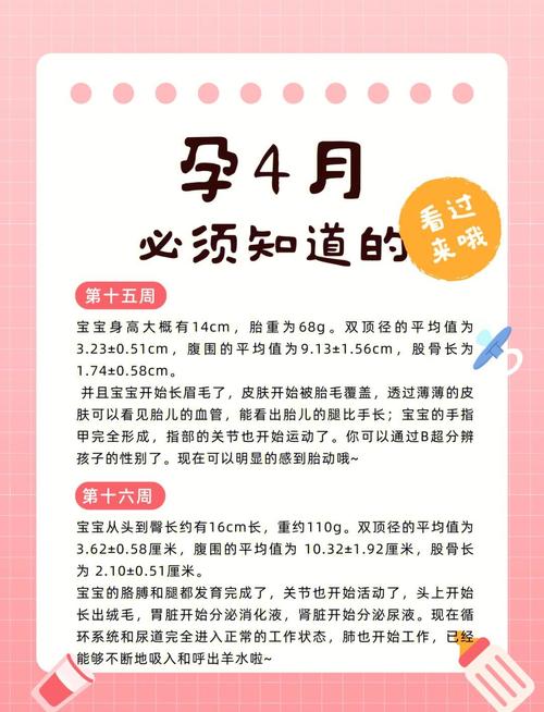 孕期15周要注意哪些事项？饮食、运动、产检有哪些关键点？-第1张图片-郑州医学网