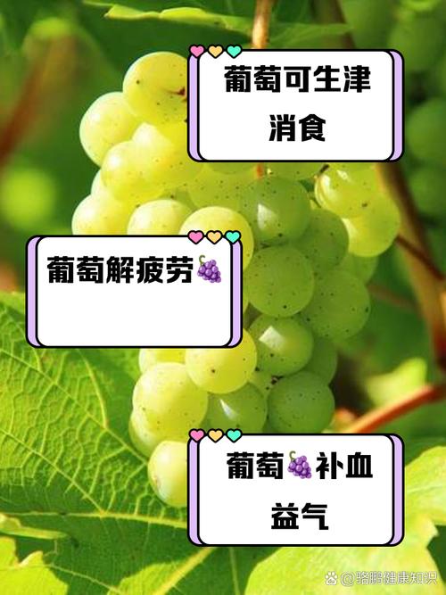 儿童咳嗽期间吃葡萄会加重咳嗽吗？有哪些注意事项？-第1张图片-郑州医学网