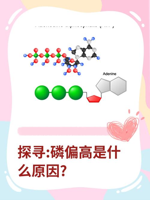 儿童无机磷偏高究竟会带来哪些潜在的健康危害？-第2张图片-郑州医学网