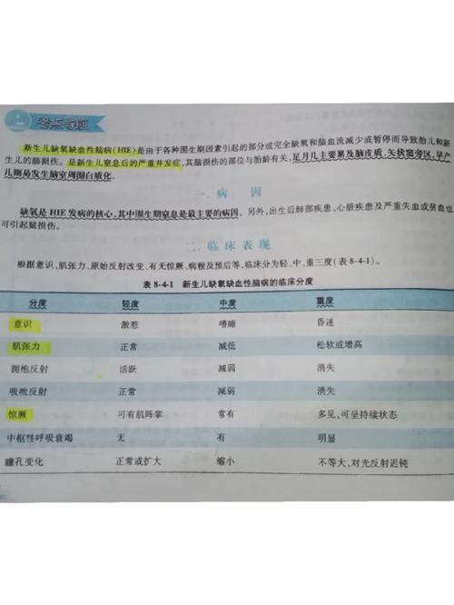 新生儿脑病护理诊断的关键指标与干预策略如何科学制定？-第3张图片-郑州医学网