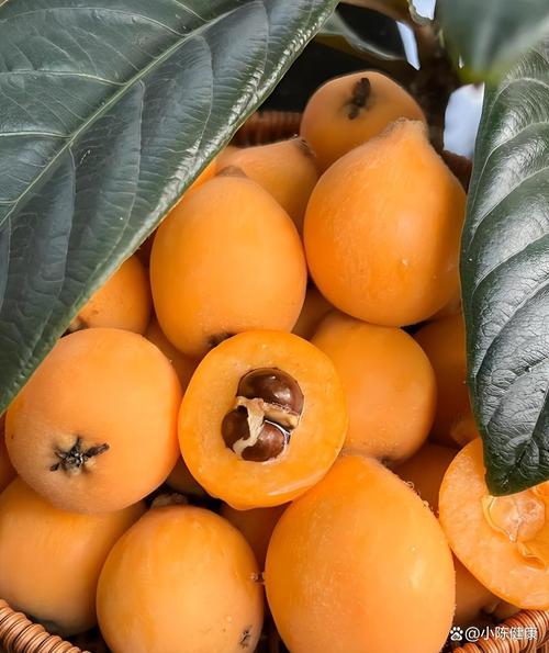 孕期咳嗽不止，吃哪种水果能缓解又不伤胎儿？-第3张图片-郑州医学网