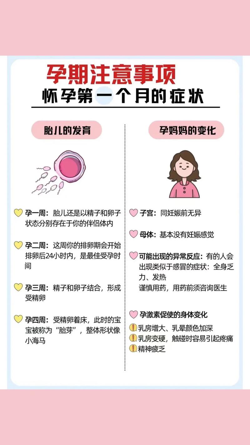 孕期最早出现的症状有哪些?不同女性会有差异吗?-第2张图片-郑州医学网 孕期最早出现的症状有哪些?不同女性会有差异吗?-第2张图片-郑州医学网