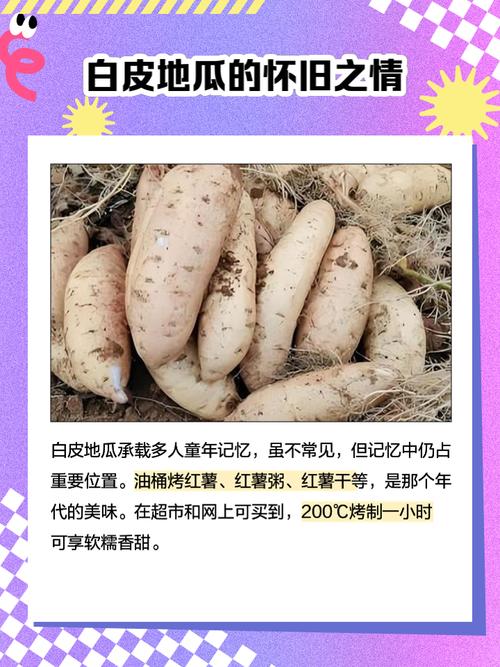 孕期拉肚子能吃地瓜吗-第3张图片-郑州医学网