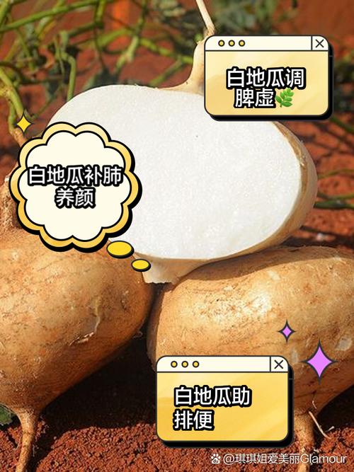 孕期拉肚子能吃地瓜吗-第2张图片-郑州医学网