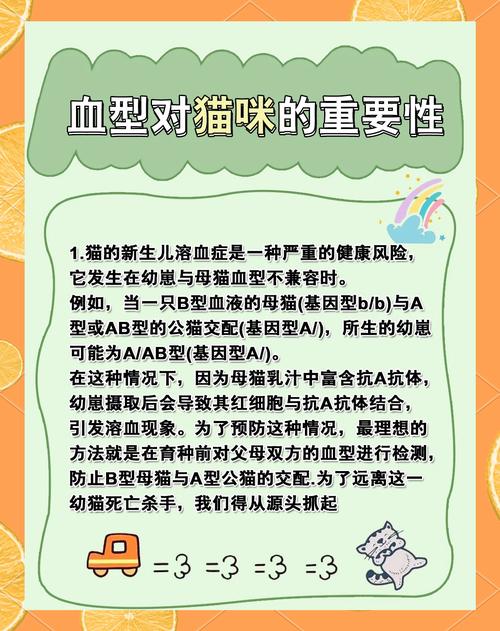 新生儿溶血症的预防关键措施有哪些?如何提前筛查与干预降低风险?-第2张图片-郑州医学网 新生儿溶血症的预防关键措施有哪些?如何提前筛查与干预降低风险?-第2张图片-郑州医学网