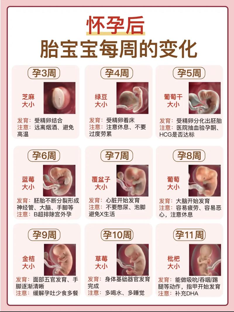 孕期宝宝偏大是营养过剩还是其他因素在作祟?-第3张图片-郑州医学网 孕期宝宝偏大是营养过剩还是其他因素在作祟?-第3张图片-郑州医学网