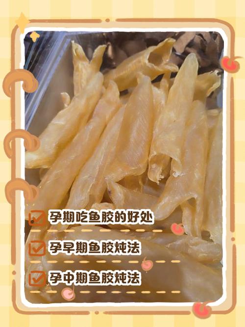 孕期吃鱼胶怎么吃最科学?营养吸收与食用禁忌全解析-第1张图片-郑州医学网 孕期吃鱼胶怎么吃最科学?营养吸收与食用禁忌全解析-第1张图片-郑州医学网