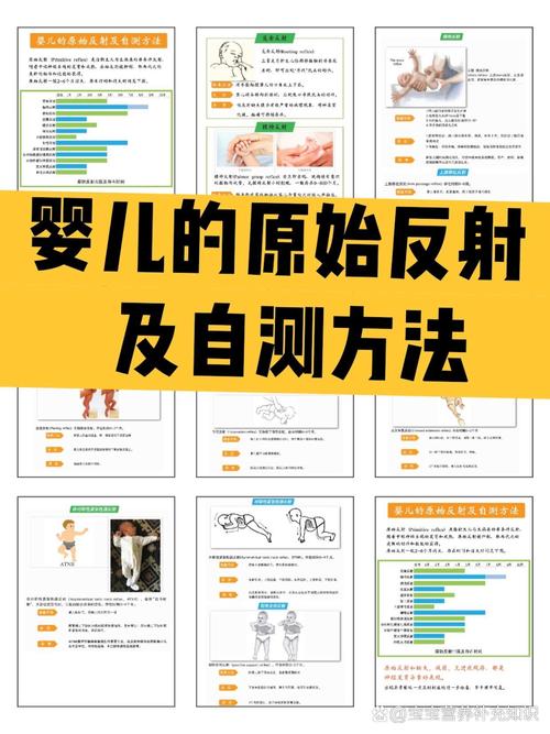 新生儿原始反射ppt-第2张图片-郑州医学网 新生儿原始反射ppt-第2张图片-郑州医学网