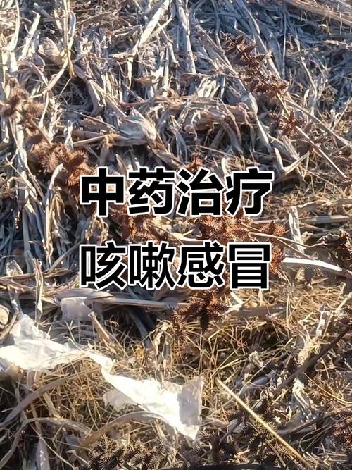 孕期咳嗽可以喝中药吗-第3张图片-郑州医学网