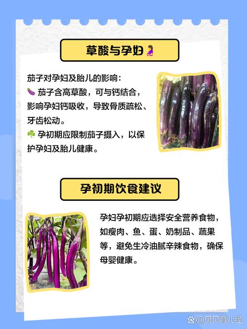 孕期吃茄子真会致流产？科学依据在哪？孕期饮食禁忌茄子为何被列入黑名单？-第1张图片-郑州医学网