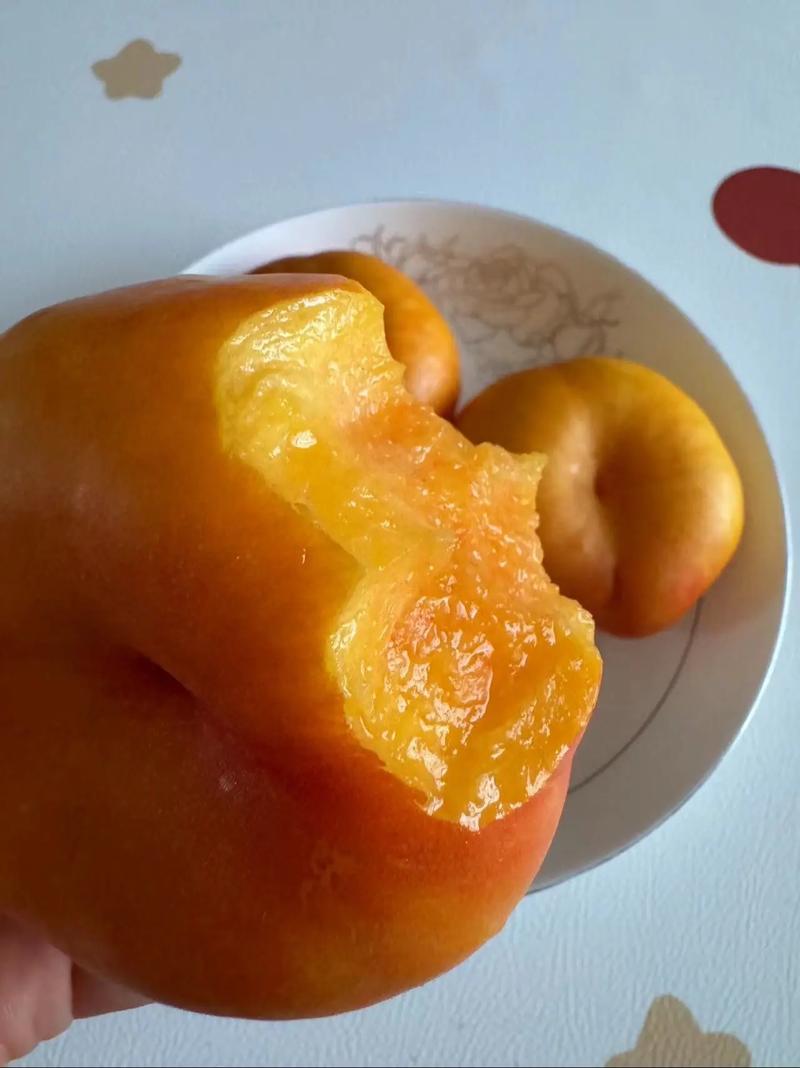 孕期为什么不能吃桃子-第3张图片-郑州医学网