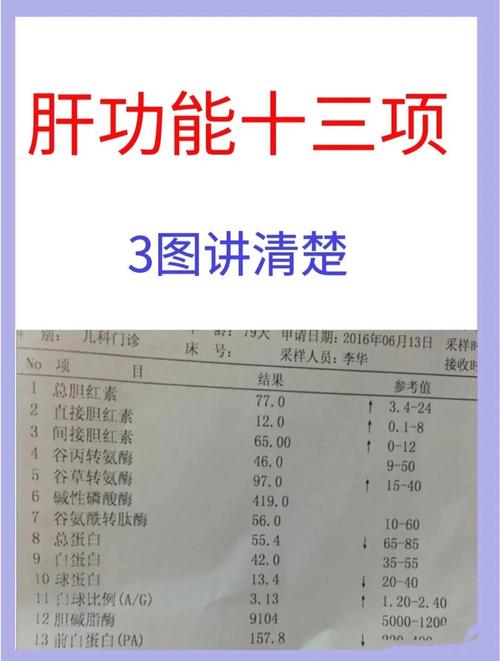 孕期肝功检查到底该在哪些关键时间节点做?不同孕周检查意义有何不同?-第3张图片-郑州医学网 孕期肝功检查到底该在哪些关键时间节点做?不同孕周检查意义有何不同?-第3张图片-郑州医学网