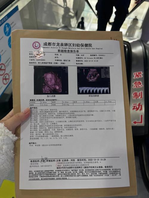 孕期大排畸都检查什么-第1张图片-郑州医学网