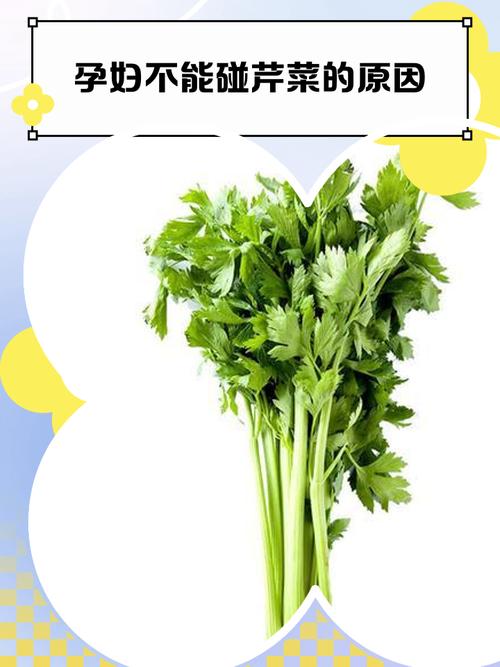 孕期贫血能吃芹菜吗？会不会影响铁吸收，该怎么搭配才好？-第2张图片-郑州医学网