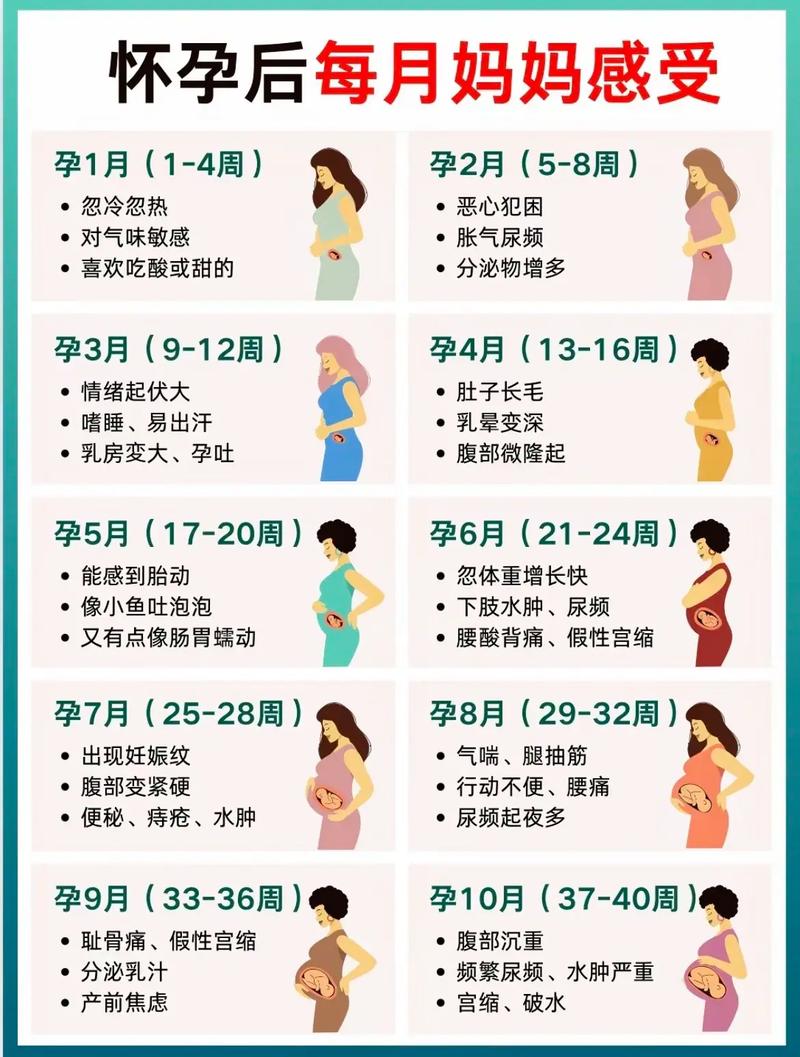 易孕期身体会有哪些特殊反应？这些信号意味着什么？-第2张图片-郑州医学网