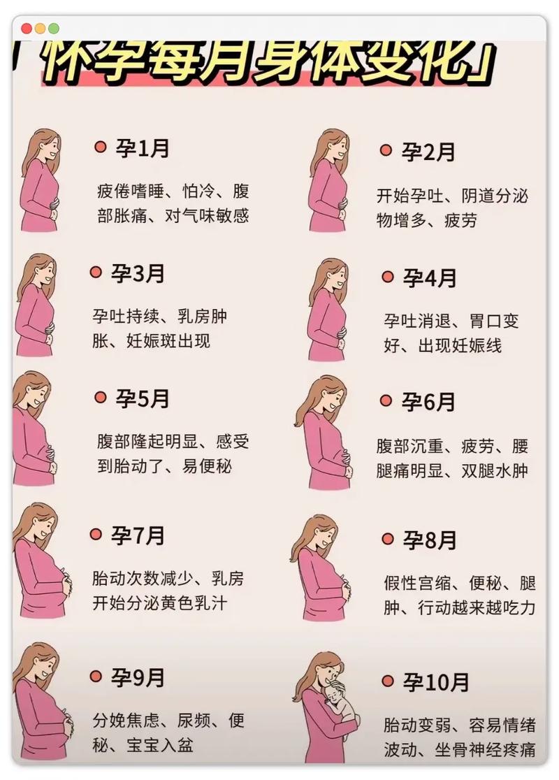 易孕期身体会有哪些特殊反应？这些信号意味着什么？-第3张图片-郑州医学网