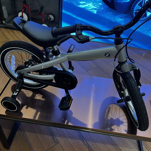 4岁儿童自行车价格差异大，不同品牌和配置该怎么选？-第3张图片-郑州医学网