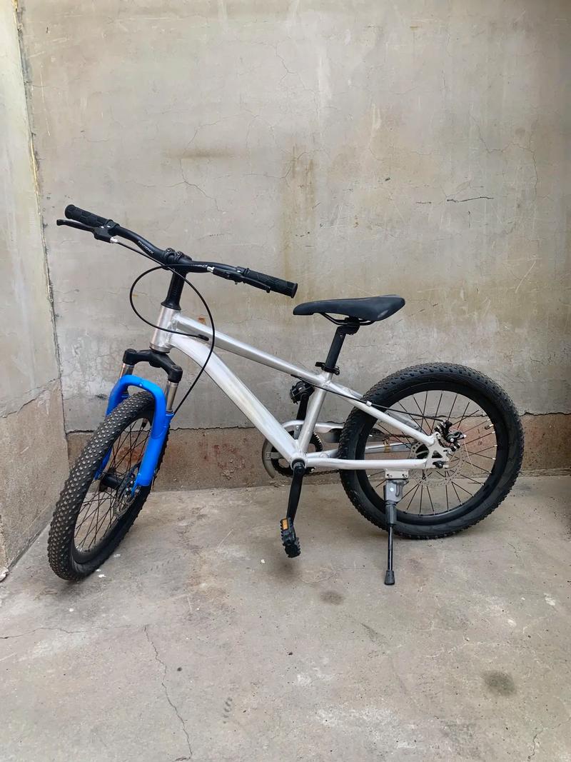 4岁儿童自行车价格差异大，不同品牌和配置该怎么选？-第2张图片-郑州医学网