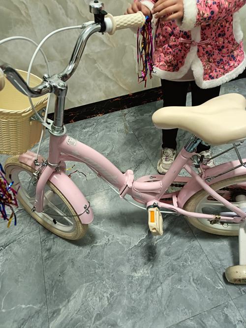 4岁儿童自行车价格差异大，不同品牌和配置该怎么选？-第1张图片-郑州医学网