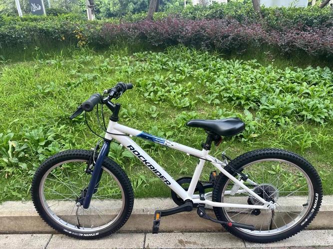 迪卡侬儿童自行车官网有哪些车型适合3-6岁孩子？-第3张图片-郑州医学网