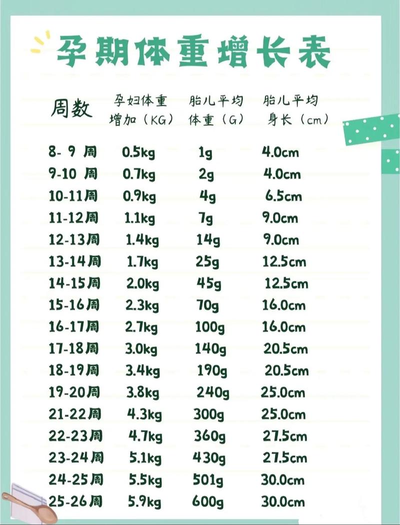 孕期胎儿体重多少算正常？不同孕周体重范围有何差异？-第2张图片-郑州医学网