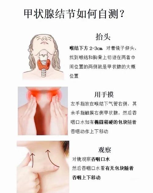孕期怎样做甲状腺检查-第1张图片-郑州医学网 孕期怎样做甲状腺检查-第1张图片-郑州医学网