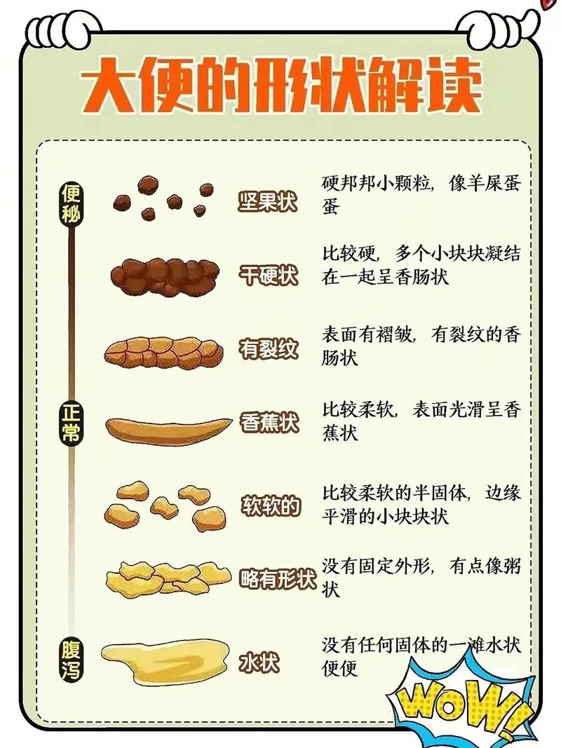 儿童拉干屎是怎么回事-第1张图片-郑州医学网 儿童拉干屎是怎么回事-第1张图片-郑州医学网