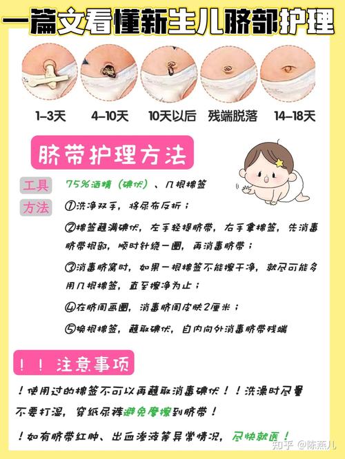 如何护理新生儿的肚脐-第3张图片-郑州医学网