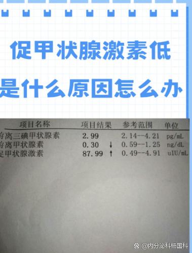 孕期促甲状腺激素范围-第3张图片-郑州医学网