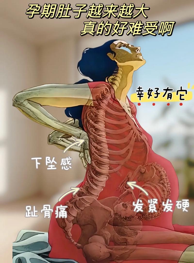 孕期感觉肚子下坠紧绷-第3张图片-郑州医学网
