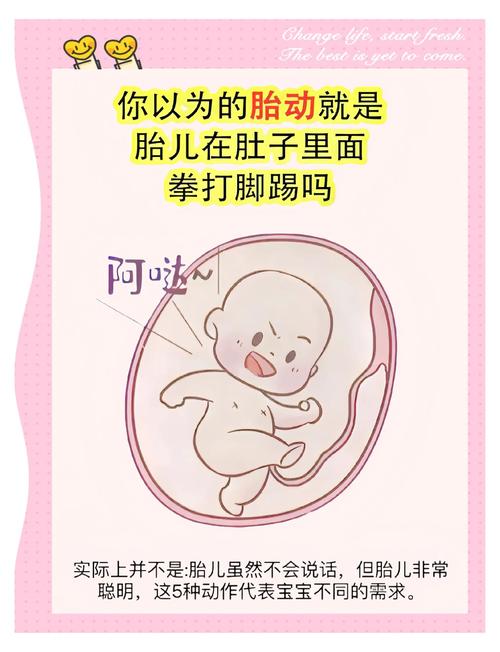 孕期宝宝晚上胎动频繁-第3张图片-郑州医学网