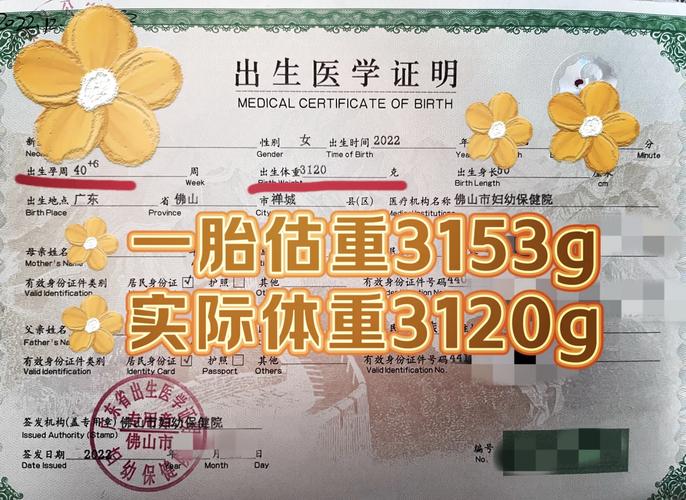 孕期宝宝体重究竟怎么算？B超数据与孕周对应关系揭秘！-第2张图片-郑州医学网