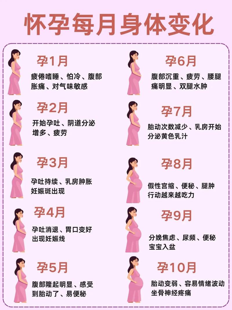 孕妇孕期反应多久会消失？不同孕周差异大吗？-第3张图片-郑州医学网