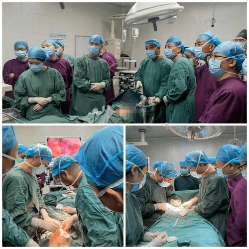 西安儿童医院白明大夫擅长哪些儿童常见病诊疗？-第2张图片-郑州医学网